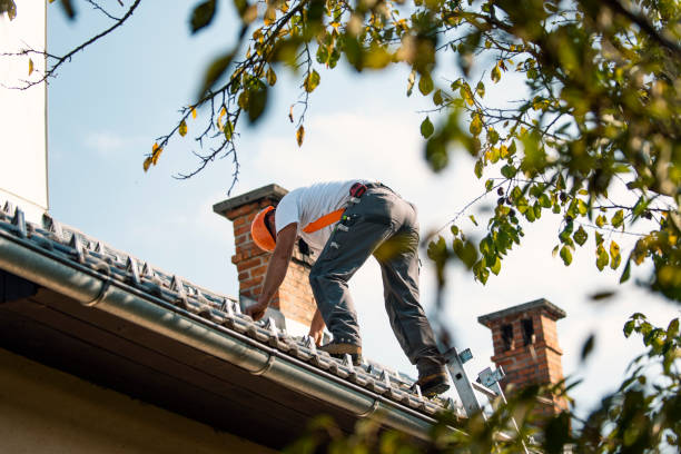 Best Best Roofing Contractors  in Harvey, ND