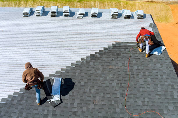 Best Shingle Roofing Installation  in Harvey, ND