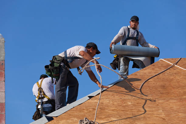Best Commercial Roofing Services  in Harvey, ND