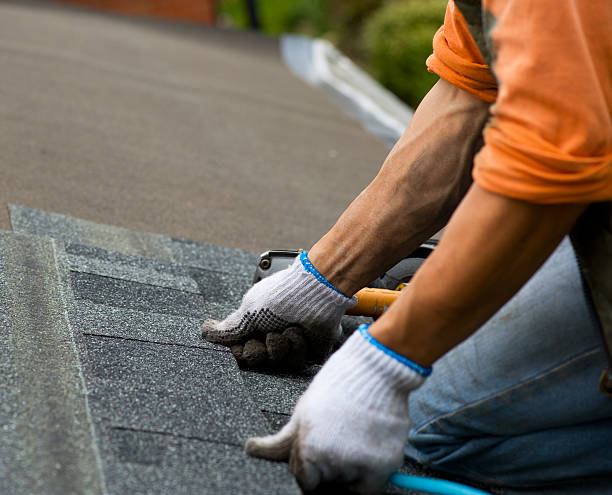 Best Roof Repair Services  in Harvey, ND