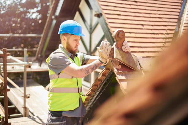 Best Metal Roofing Contractor  in Harvey, ND